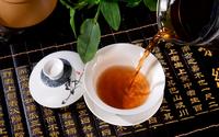 喝黑茶好还是普洱茶好？