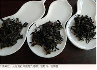 三款武夷岩茶品种茶——岩中果香香如许