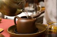 云南中期茶的品质优势和推广