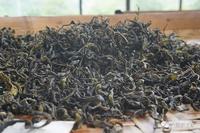 观察|六堡茶传统工艺标准的出台，会改变产业的格局吗？