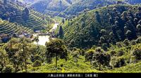 广西梧州六堡茶产地的核心产区分布图