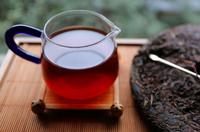 六堡茶茶树的起源