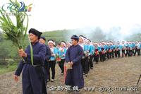 剑江河畔举办都匀毛尖茶文化节