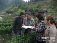 湘西州：合力保驾毛尖茶叶产业发展