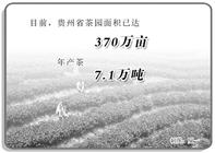 贵州：绿茶产业让300万茶农走上致富路