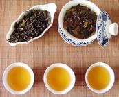 以福鼎白茶为例探讨好茶的五个标准