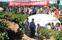 澜沧县开展电脑农业生态茶叶专家系统应用技术培训