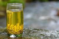 君山银针茶叶品鉴芽头茁壮，茶汤呈现出浅黄色，香气清新
