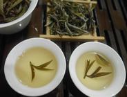 白茶的品鉴及冲泡方法介绍
