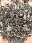 白茶的茶树品种福建水仙介绍