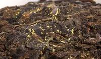 茯砖茶是唯一要求“冠突散囊菌”这项指标的黑茶类品种