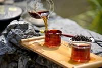 普洱茶茶韵茶之道在于品“茶之山韵”