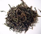 什么是晒青绿茶？
