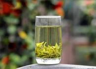 绿茶冲泡首选玻璃茶具有赏心悦目的视觉艺术效果
