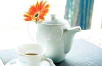 蒲公英蜂蜜茶清热解毒、利尿茶疗功效