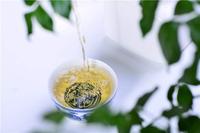 茶叶，一茶防一病，茶叶又有哪些茶性呢？