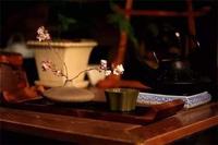 云南这十种吃茶法，你都知道吗？
