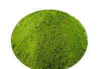 滇红茶中的叶绿素有什么作用
