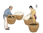 详解红茶工艺流程：红茶发酵的原理是什么？