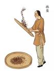 祁门红茶传统手工制作流程图（下）