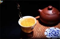 普洱茶黄片与黑条是怎么产生的？