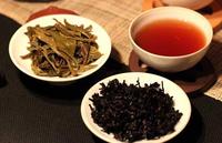 生普洱茶都有哪些功效和作用？