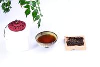 普洱茶千年“茯茶与金花”的前世今生