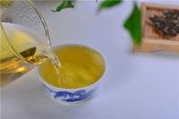 普洱茶世界之神奇的发酵剂