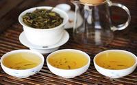 普洱当地老茶农教你：如何辨别普洱茶头春、二春和尾春茶？