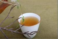 普洱茶的茶气是什么？茶气到底是怎样的存在？