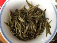 用云南小叶种按普洱茶工艺制作的茶，到底算不算普洱茶？
