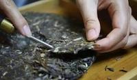 云南省普洱茶产业调查：小茶叶如何提档升级