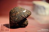 茶人微语录|普洱茶的种类主要有哪些？