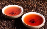 普洱茶可以和蜂蜜一起泡吗？