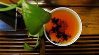 邹家驹：普洱茶保存要注意的几个问题