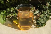 绿春玛玉茶的茶叶文化