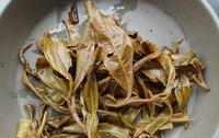 武夷岩茶不知春是什么茶？不知春茶昵称、名称由来、传说有哪些？