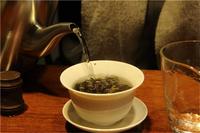 屯溪绿茶该如何栽培？