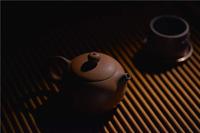 紫砂壶泡茶为什么要固定使用一种茶叶呢？