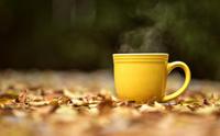 喝茶益于身体健康“诸药为各病之药，茶为万病之药”