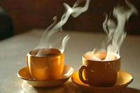 喝茶如何养生最简单的养生丛茶开始