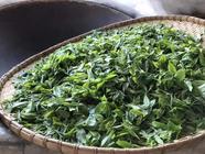 2019浙江春茶：千岛湖新茶价格在800至1000元每公斤