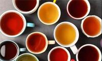 2018茶商应谨慎介入：最容易产能过剩的几类茶产品