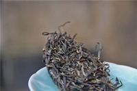 “吃曼松看倚邦”：解读无愧于“皇家的味道”曼松贡茶