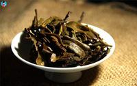 茶学博士陈文品：清饮和调饮是支持茶叶消费的文化支系