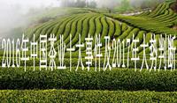 2016年中国茶业十大事件及2017年大势判断
