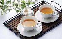 中国茶业路在何方？两会代表、委员支招茶行业“过冬”