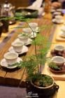 2016中国茶业的探索与思考