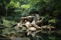 杭州虎跑泉“西湖之泉，以虎跑为最。西山之茶，以龙井为最”