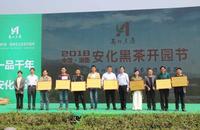湖南安化揭开2018年采茶序幕，开启黑茶国际化征程